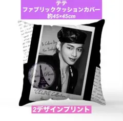 BTS ファブリッククッションカバー　45×45 テテ　Vのサムネイル
