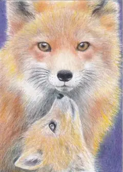キツネさん〔2L〕色鉛筆画