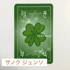 Alphadriveone ALD1 サンウォン サノク お守り トレカ - メルカリ