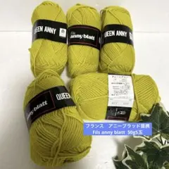 アニーブラッド　毛糸QUEEN ANNY 毛100% 5玉　手編み　パピー