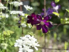 nk.araki17様 リクエスト 2点 まとめ商品