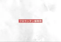 【専用】ハラダお菓子ブーケ5束♡ロアカー＆ラスク＆赤い帽子　6袋