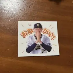 みぃ様 リクエスト 3点 まとめ商品