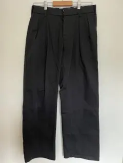 Dickies ディッキーズ ワイドタックチノ 181M40CP01