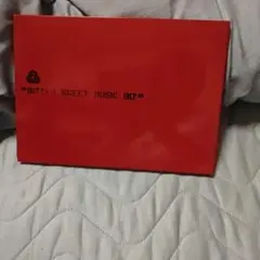 色情塗鴉 苦樂參半的音樂事業 紅