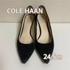 Item thumbnail for item 763361b8-d024-4b8f-88a8-4cc63d769a7e