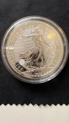 2025年最新】ブリタニア銀貨 2023の人気アイテム - メルカリ