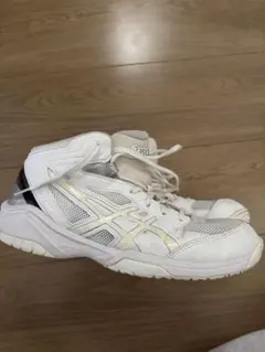 バッシュ　アシックス　ダンクショット DUNKSHOT 25センチ