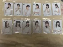 瑠璃太郎様 リクエスト 2点 まとめ商品