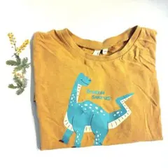 恐竜　Tシャツ　120cm