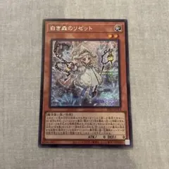 2025年最新】白き森のリゼット シークレットの人気アイテム - メルカリ