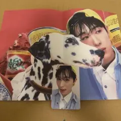 nexz saucin yellow ヒュイ　hyui ランダム