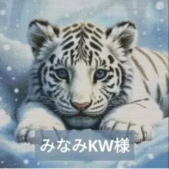 みなみKW様 リクエスト 3点 まとめ商品