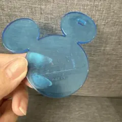 東京ディズニーリゾート ミッキー