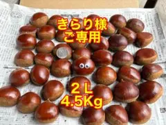 きらり様ご専用