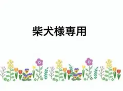 柴犬様 リクエスト 2点 まとめ商品