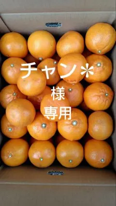 せとか10㎏(家庭用)チャン✽様専用#2