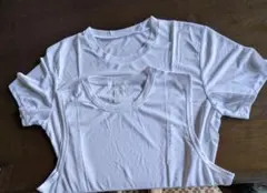 Item thumbnail for item 4270ea97-e769-4c81-a6ed-ece2b1609767