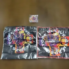 B'z LIVE-GYM