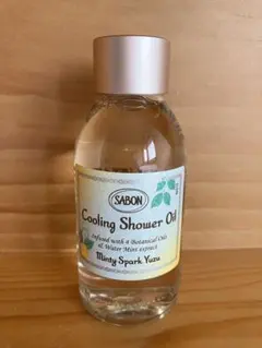 Item thumbnail for item d8d7cd80-5213-49a9-af2d-9e86def89f7a