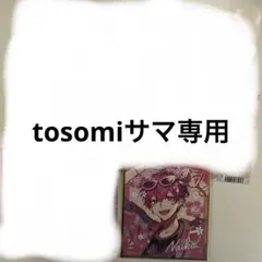 tosomi様専用ページ
