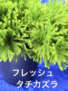 20157130_2