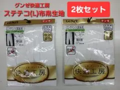 グンゼ快適工房 ロングパンツ Lサイズ 2枚セット