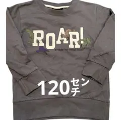 恐竜　薄手長袖トレーナー　男の子120㌢