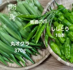 たっぷり丸オクラとししとうセットのサムネイル