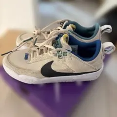 Nike SB DAYONEスケートボードシューズ新品23cmのサムネイル