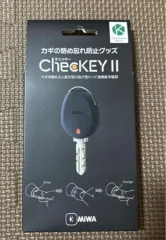 Item thumbnail for item f277e0f7-979f-45e9-884f-e912226f7ef9