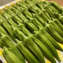 オクラ　広島県産のサムネイル