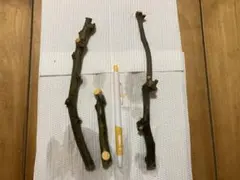 プリン様 リクエスト 2点 まとめ商品