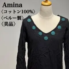 【美品】アミナ　Vネックカットソー　シースルーカットソー