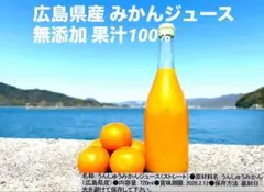 Item thumbnail for item fd14638d-82d4-42b9-98df-d77cc4d86f7e