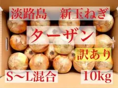 淡路島産玉ねぎ　ターザン　★訳あり★ S〜Lサイズ！10kg 【早い者勝ち】のサムネイル