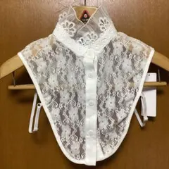 Item thumbnail for item 654bf548-2604-4959-a120-8f5fba0f2c23