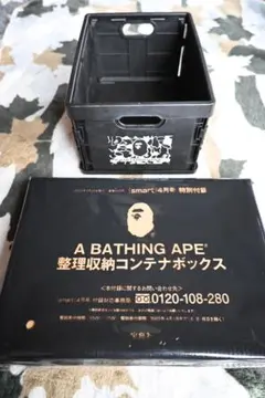 2025年最新】A BATHING APE ケース・ボックス・コンテナの人気