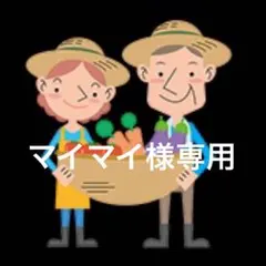 マイマイ様専用 感謝セール！淡路島産新玉ねぎ 秀品5kg 貴錦 固定種 希少