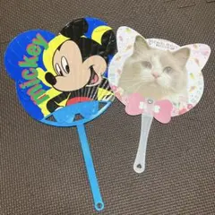 ミッキーマウス　うちわ　猫カフェ　ねこ　ラグドール　トンキニーズ　エキゾチック