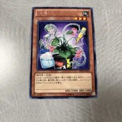 しぐれ@プロフ商品説明必読様 リクエスト 3点 まとめ商品