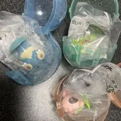 ポケットモンスター　しとしとあまやどり　キモリ、ゴンベ、ピィ　3点セット