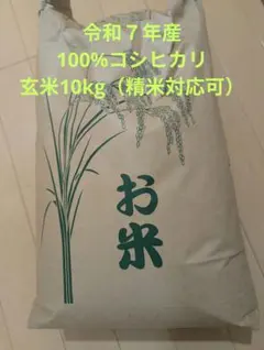 当日発送！8/18まで！令和7年度長野県産コシヒカリ10kg 減農薬 発送前