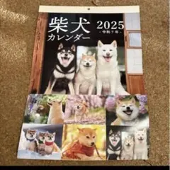 Item thumbnail for item 2a2d82dd-fbc6-4895-bad1-6df3869dc5fa