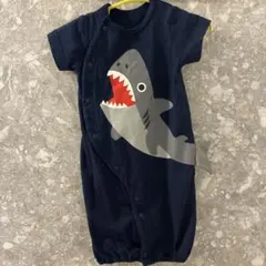 Item thumbnail for item 5e75bff8-52ca-4399-b365-b008404e11ec