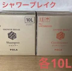 POLA シャワーブレイクプラス フォームソープ 10L 業務用×2箱 - メルカリ
