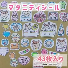 ʜᴀɴᴅᴍᴀᴅᴇマタニティフレークシール　母子手帳 アルバム　シール A6のサムネイル