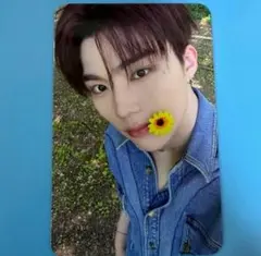 zb1 ヨントン トレカ