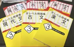大学入試 全レベル問題集 古文・現代文・漢文 レベル①③セット