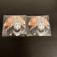 ハイキュー　デコレクション缶バッジ　第2弾　日向